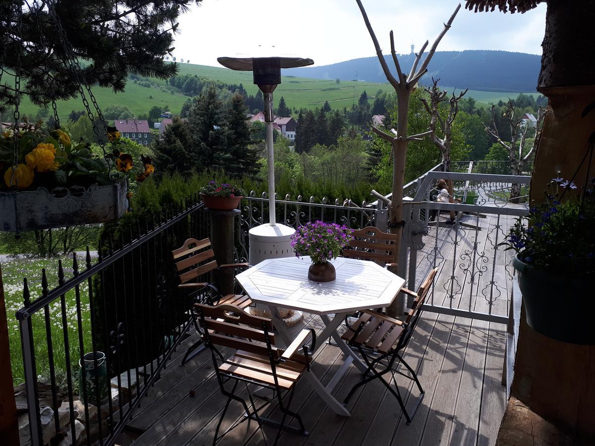 Apartment Aronia Garten Oberwiesenthal